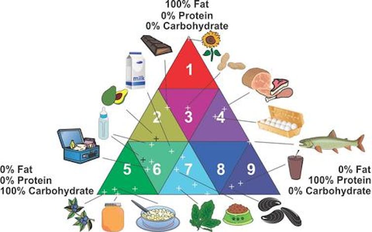 The triangle is divided into nine smaller triangles, each labeled with a food symbol based on its nutrients - 100% fat on the top, 100% carbohydrates on the left side, protein it is 100% on the right side.